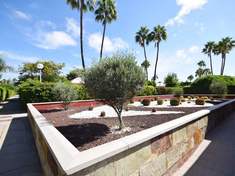 Bungalow in Maspalomas, Gran Canaria - photo 3