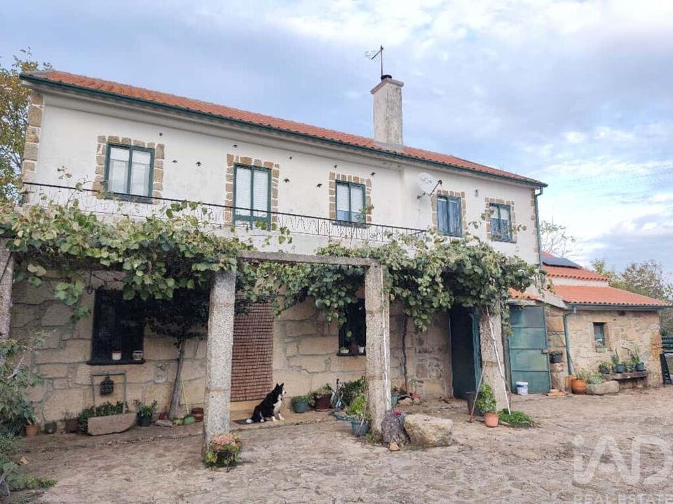 Farm i Sabugal, Guarda - foto 2