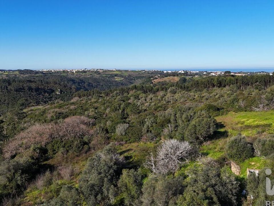 Helårsgrund i Mafra, Lisbon - foto 4
