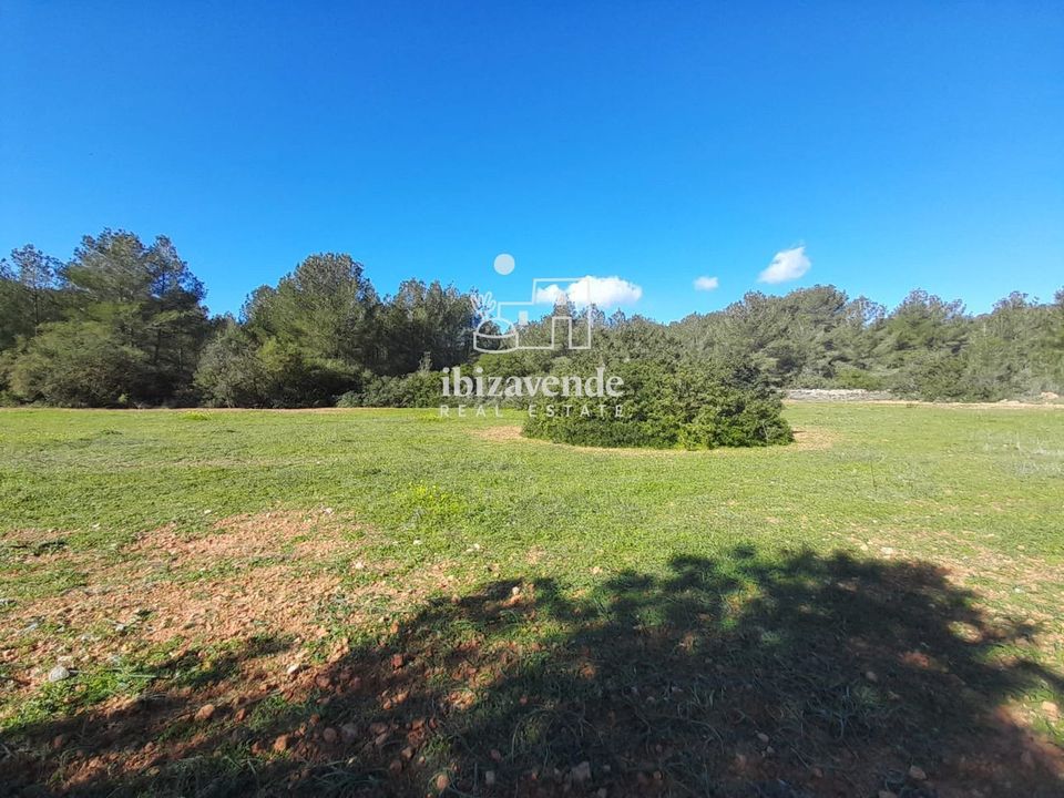 Finca i Sant Josep de sa Talaia, Ibiza - foto 1