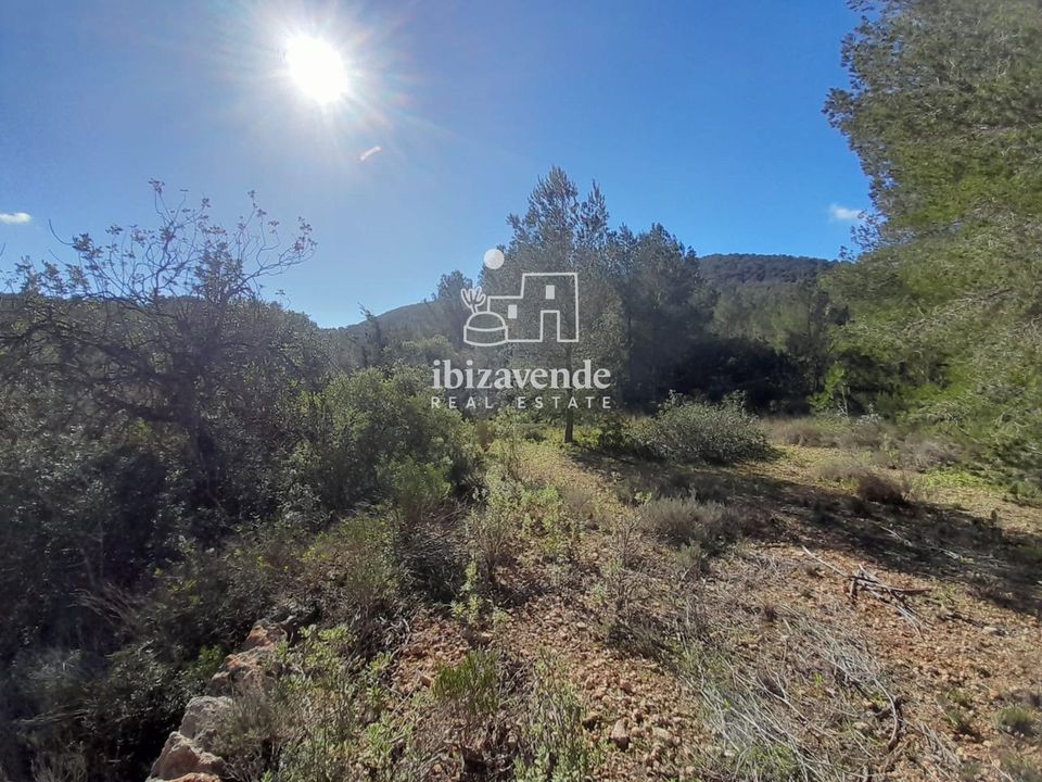 Finca i Sant Josep de sa Talaia, Ibiza - foto 3