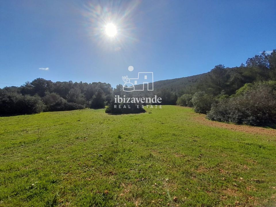 Finca i Sant Josep de sa Talaia, Ibiza - foto 4