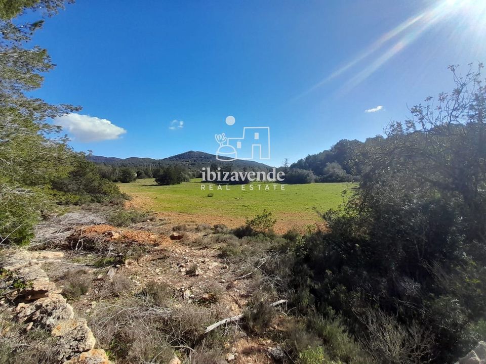 Finca i Sant Josep de sa Talaia, Ibiza - foto 5