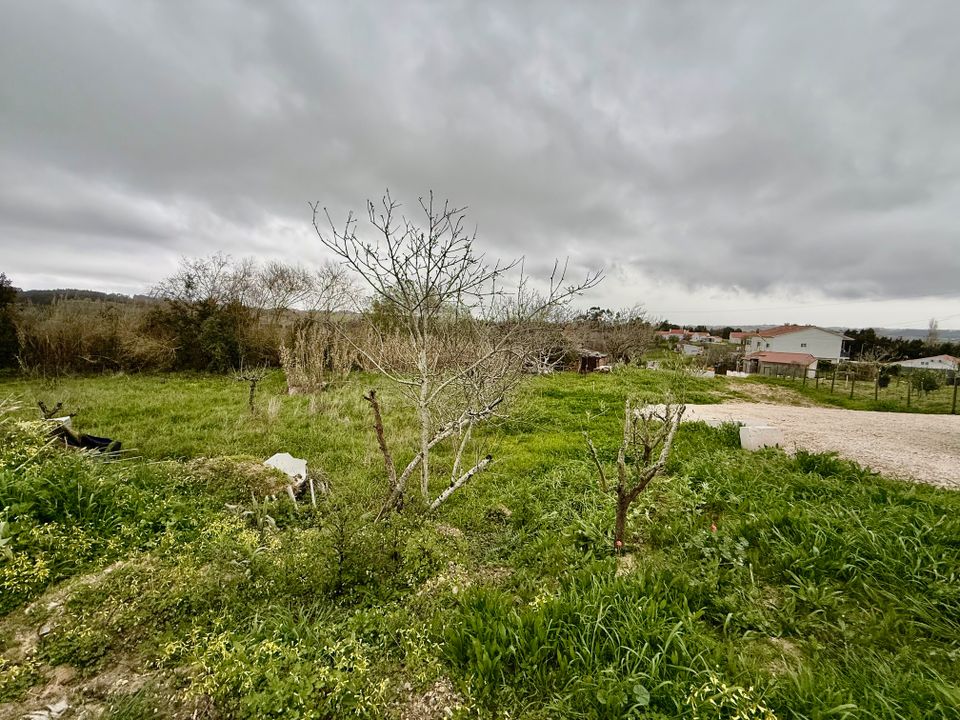 Helårsgrund i Alcobaca, Leiria - foto 4