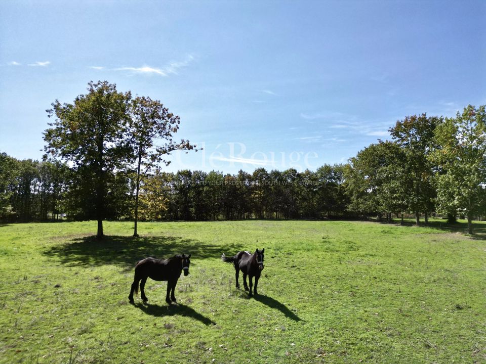 Villa i Duras, Lot-et-Garonne - foto 3