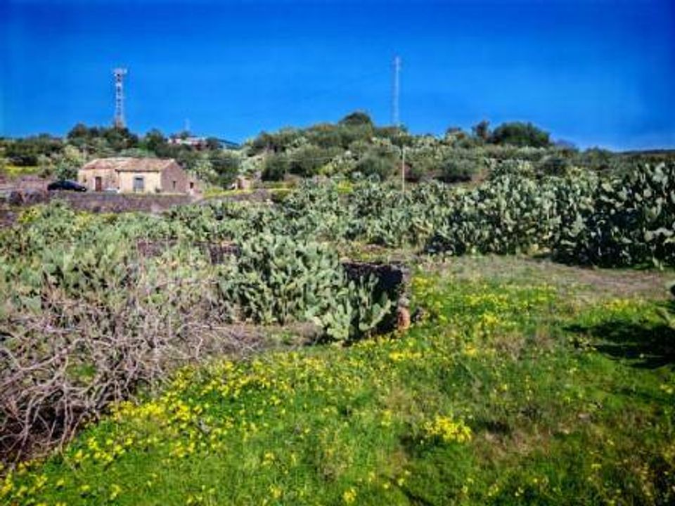 Helårsgrund i Santa Maria di Licodia, Catania - foto 3