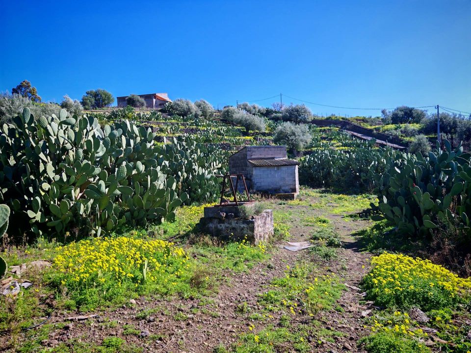 Helårsgrund i Santa Maria di Licodia, Catania - foto 4