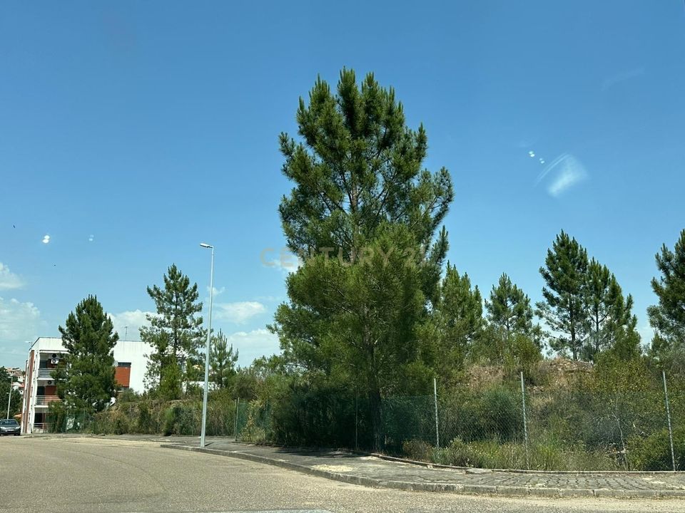 Terra a Macao, Santarem - foto 4