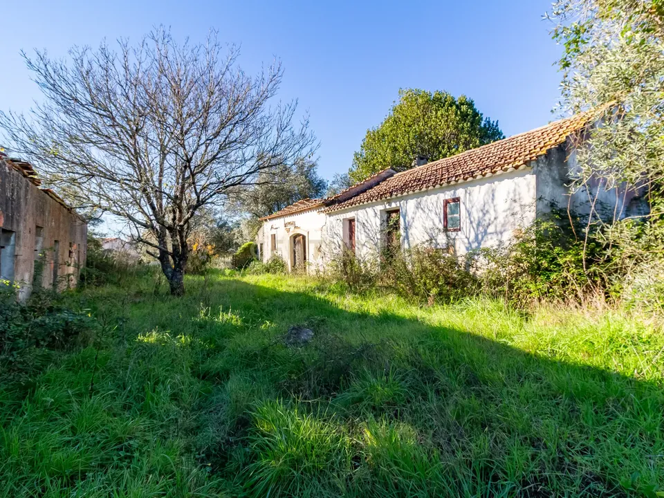 Villa i Alcobaca, Leiria - foto 3