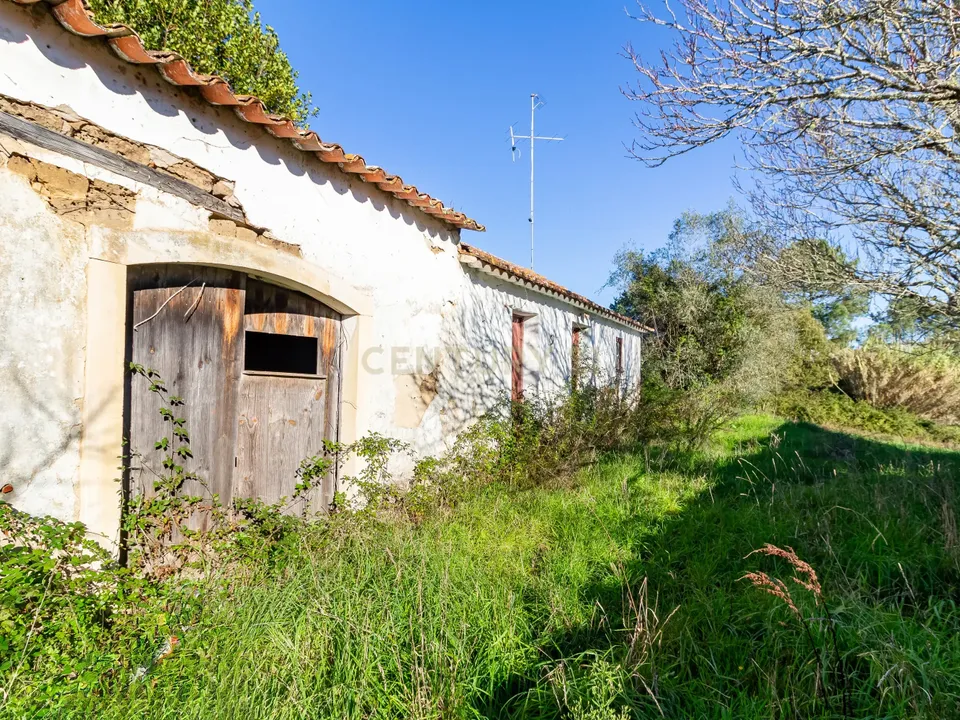 Villa i Alcobaca, Leiria - foto 2