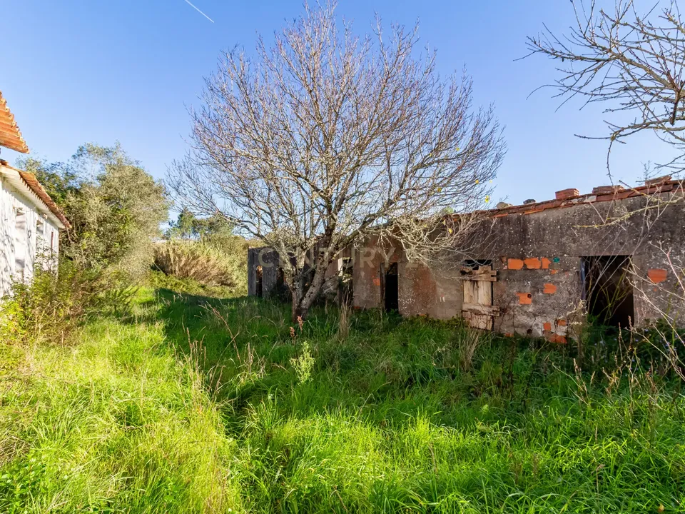 Villa i Alcobaca, Leiria - foto 4