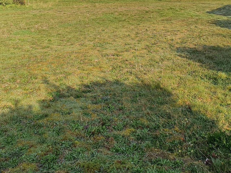 Helårsgrund i Hourtin, Gironde - foto 1