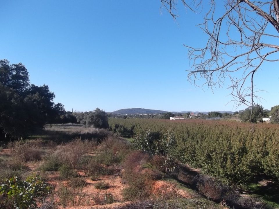Ruinere i Moncarapacho, Faro - foto 1
