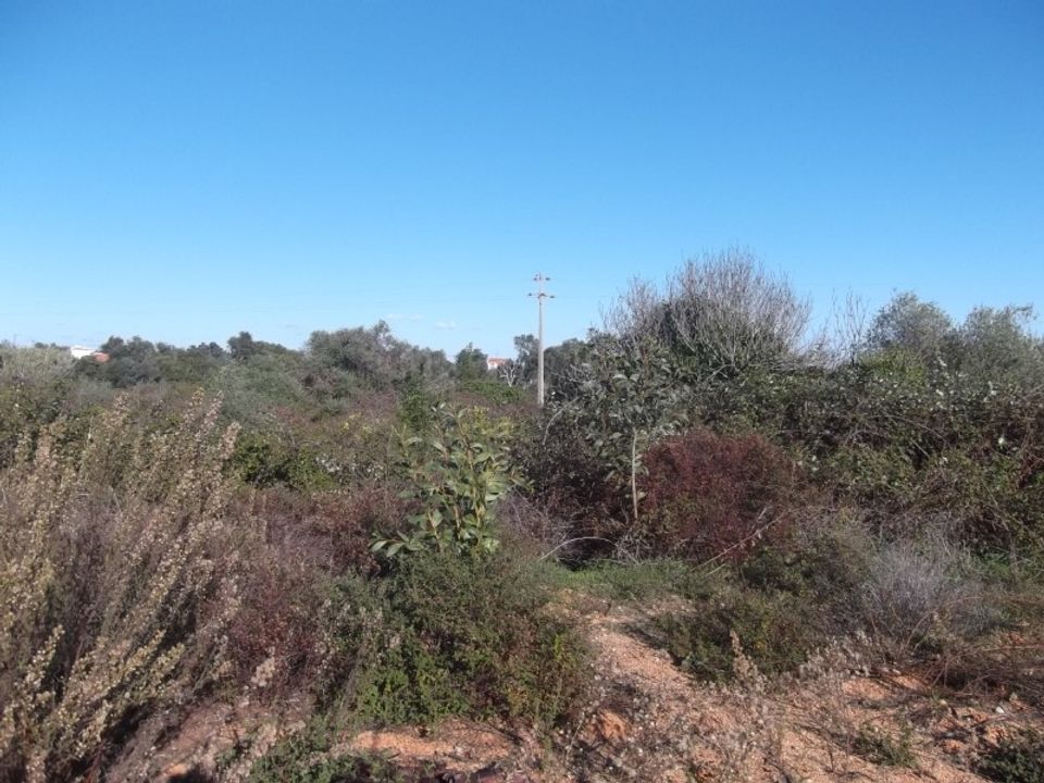 Ruinere i Moncarapacho, Faro - foto 5