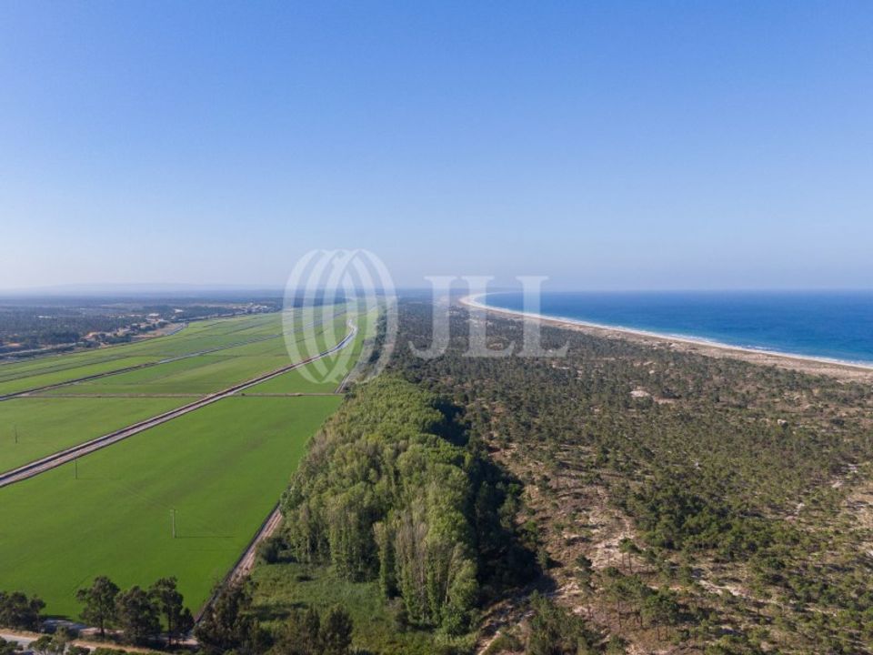 Tomt i Comporta, Setubal - bilde 5
