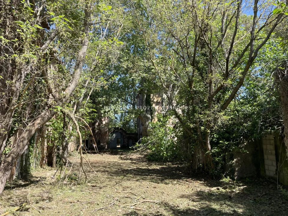 Landejendom i Le Cannet-des-Maures, Var - foto 2