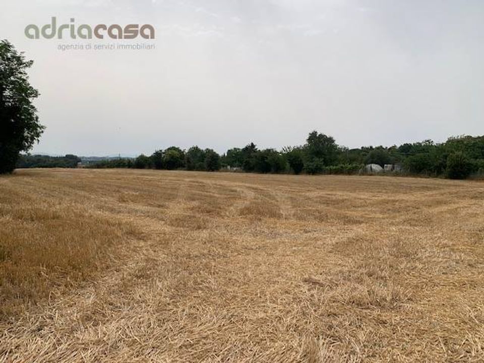 Tomt i Misano Adriatico, Rimini - bilde 1