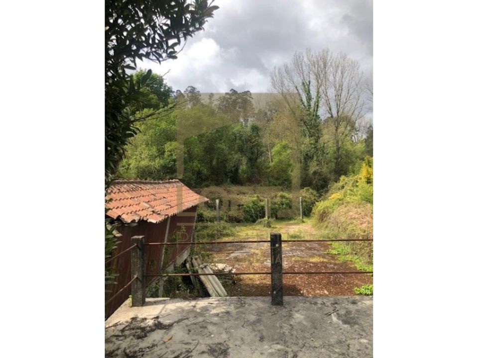 Gård i Vila Fria e Vizela (Sao Jorge), Porto - bilde 4