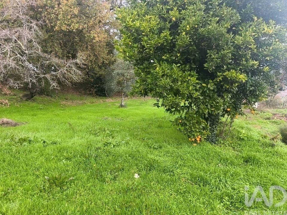 Byhus i Oliveira do Hospital, Coimbra - foto 1