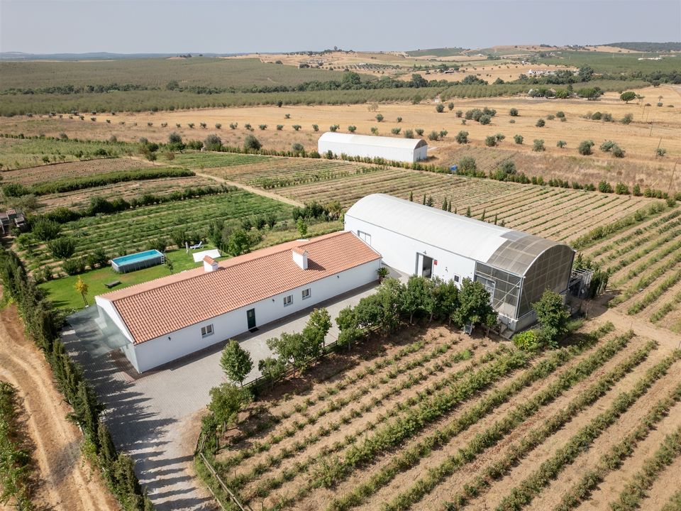 Farm i Evora, Evora - foto 1