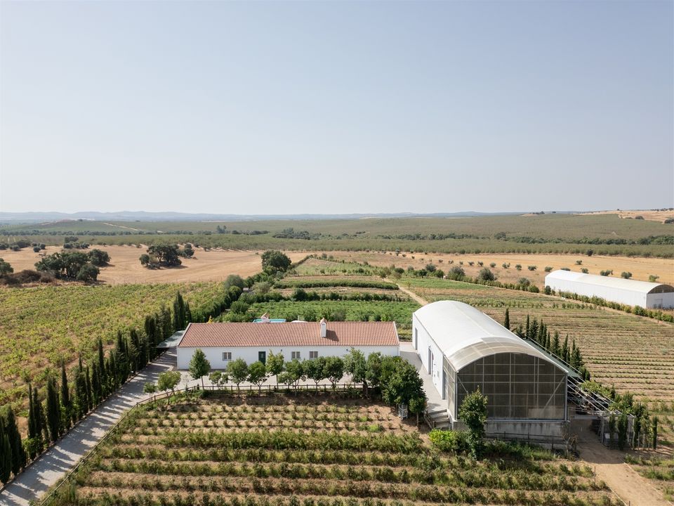 Farm i Evora, Evora - foto 2