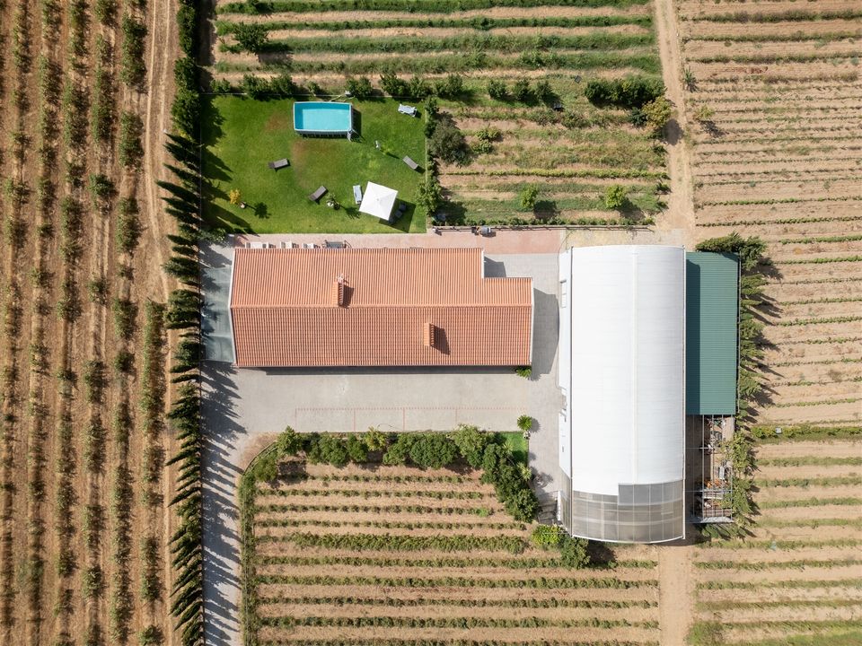Farm i Evora, Evora - foto 3