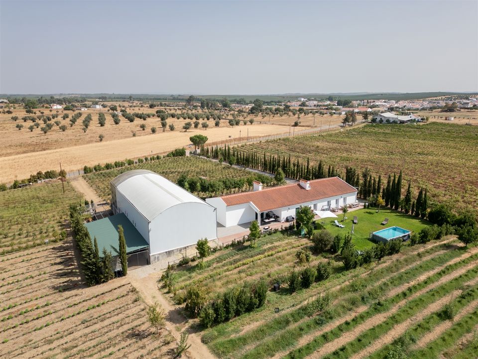 Farm i Evora, Evora - foto 4