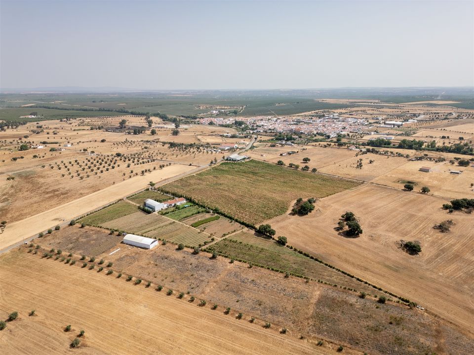 Farm i Evora, Evora - foto 5