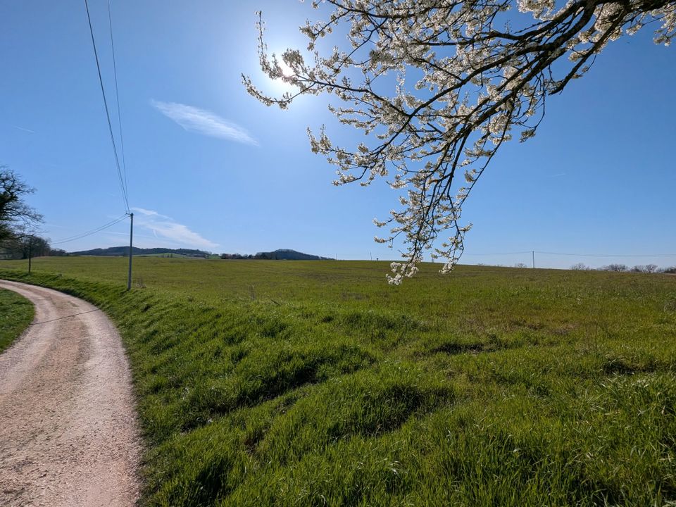 Terra a Monflanquin, Lot-et-Garonne - foto 3