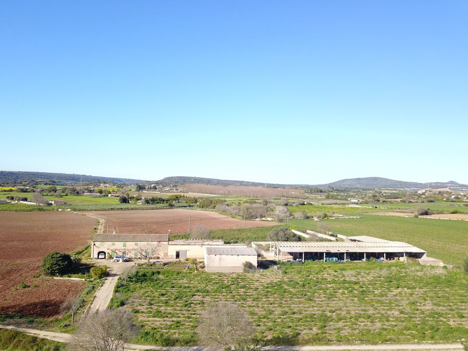 Herregård i Manacor, Mallorca - bilde 1