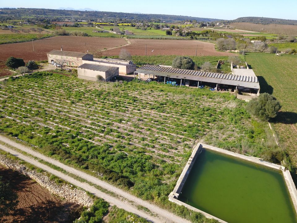 Herregård i Manacor, Mallorca - bilde 2