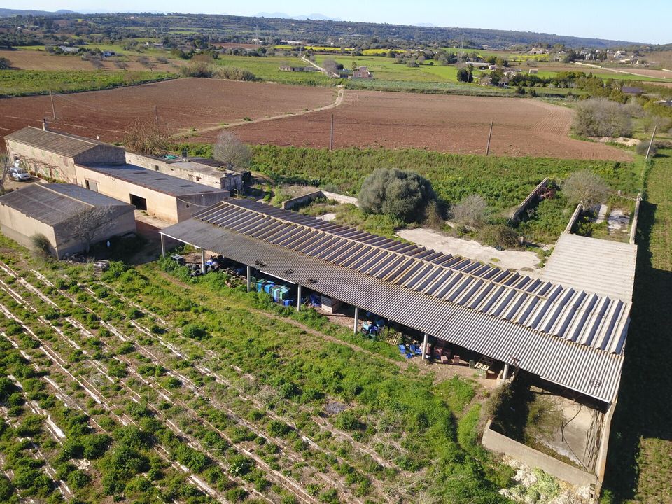 Herregård i Manacor, Mallorca - bilde 3