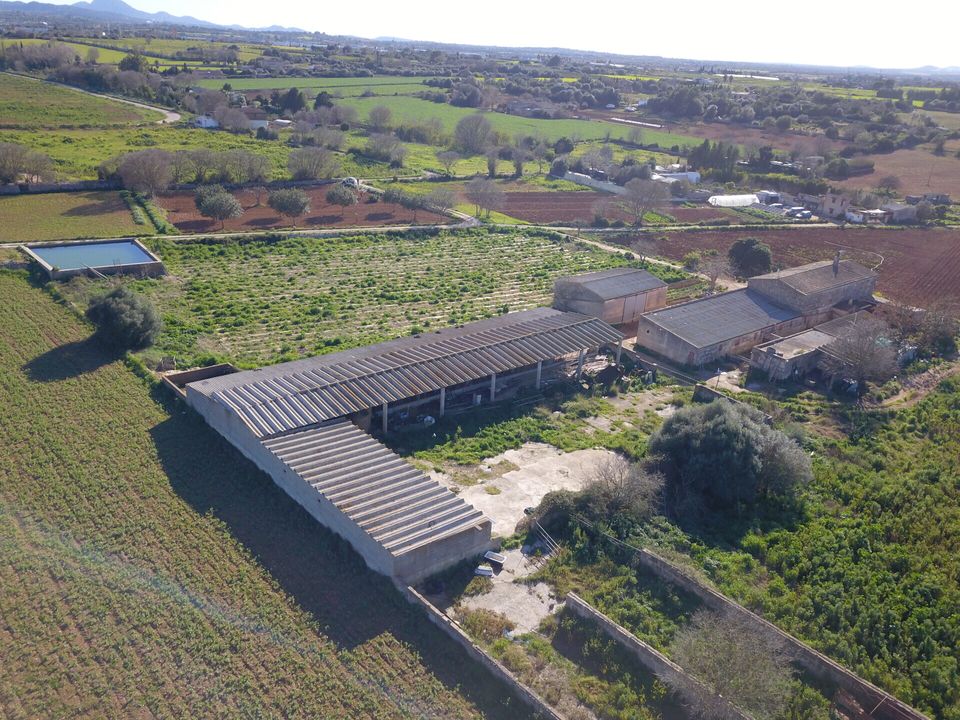 Herregård i Manacor, Mallorca - bilde 5