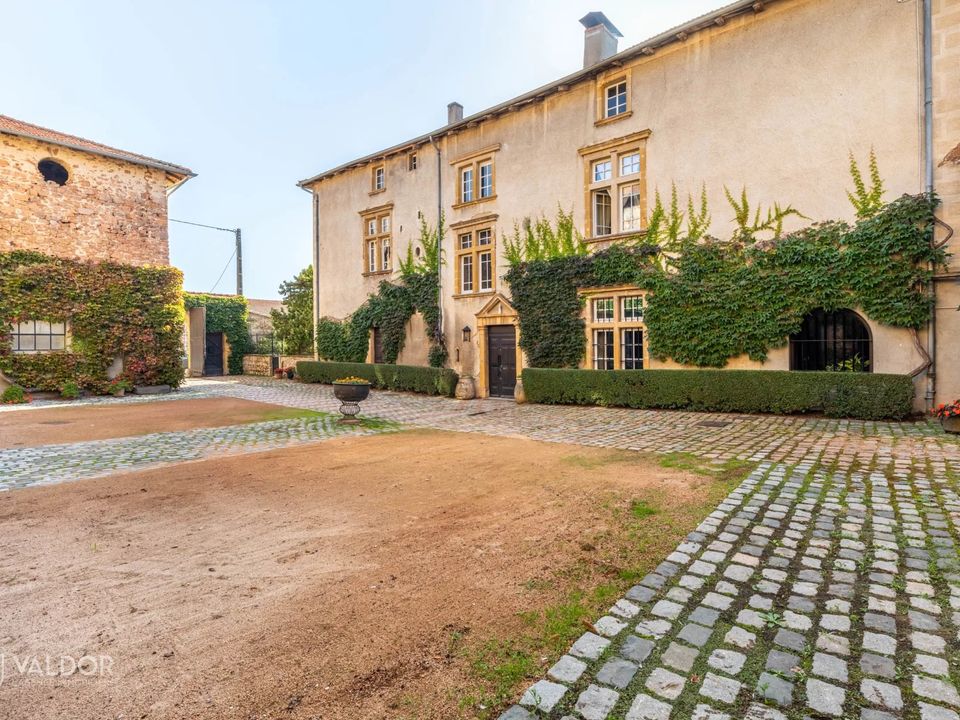 Villa i Amplepuis, Rhone - foto 1
