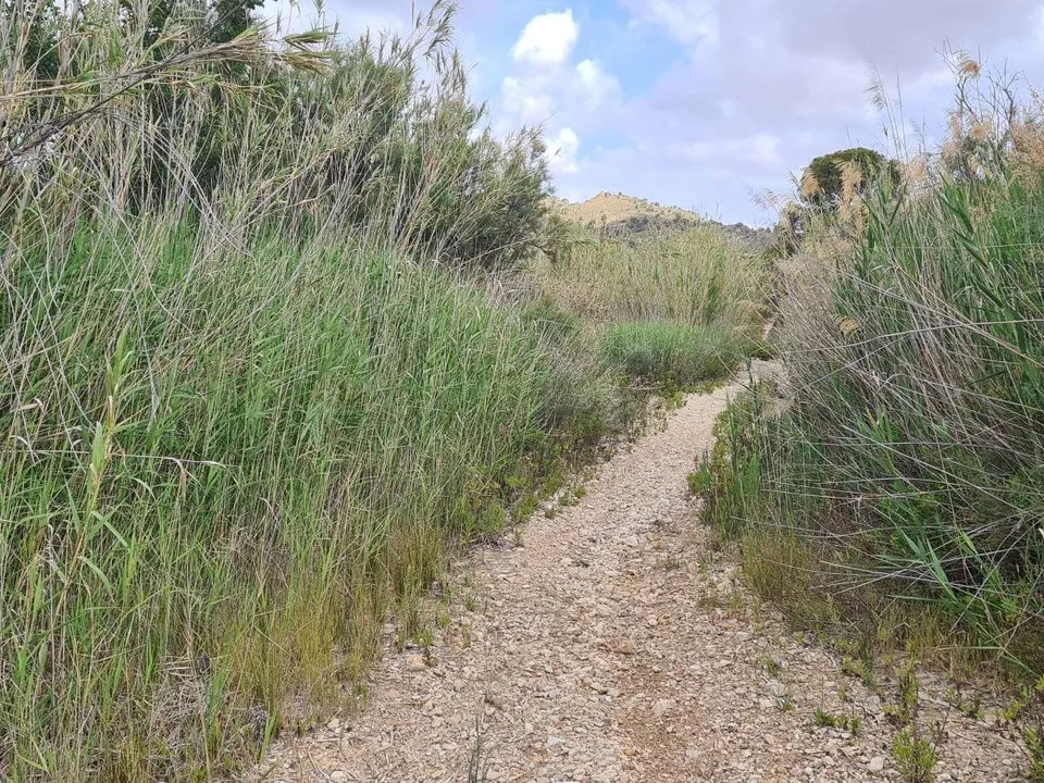 Helårsgrund i Murcia, Murcia - foto 4