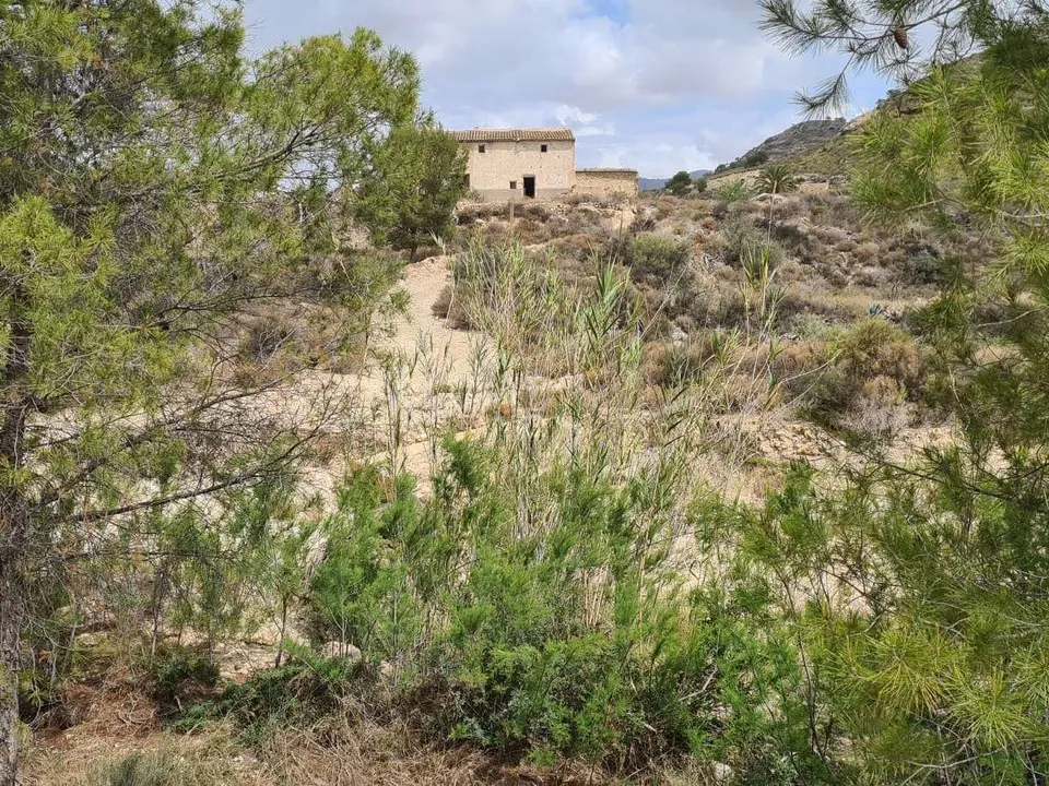 Helårsgrund i Murcia, Murcia - foto 5