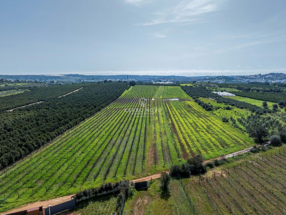 Villa i Algoz, Faro - foto 4