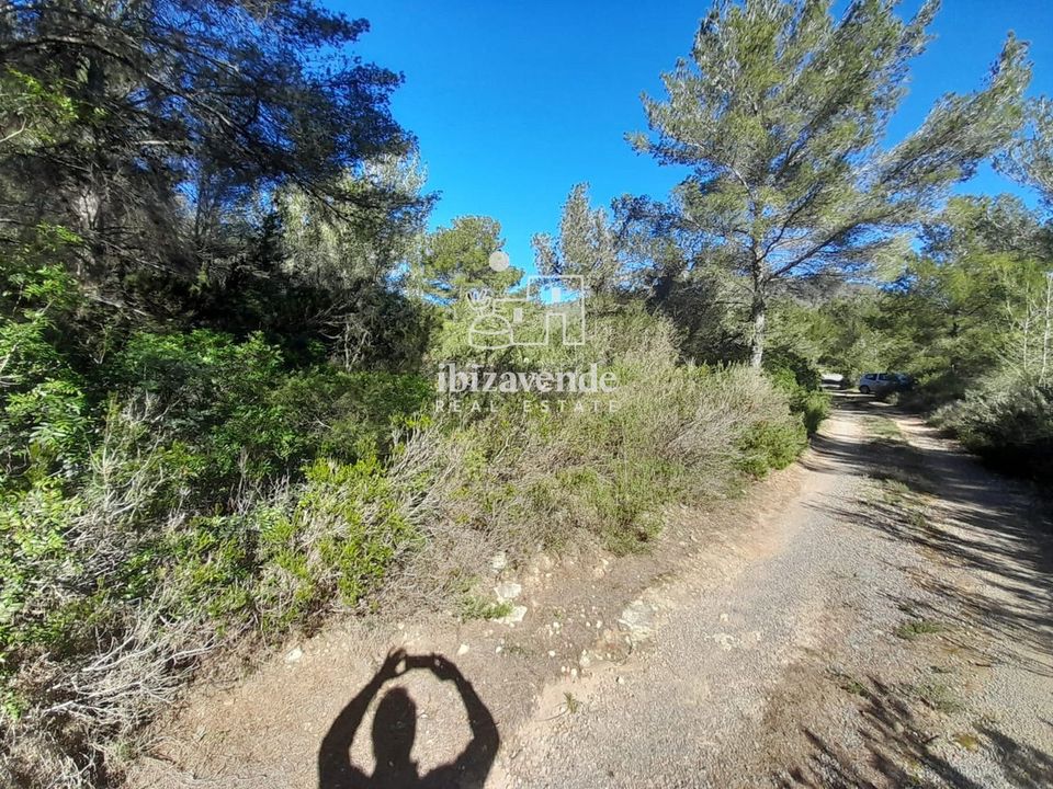 Finca i Sant Josep de sa Talaia, Ibiza - foto 4