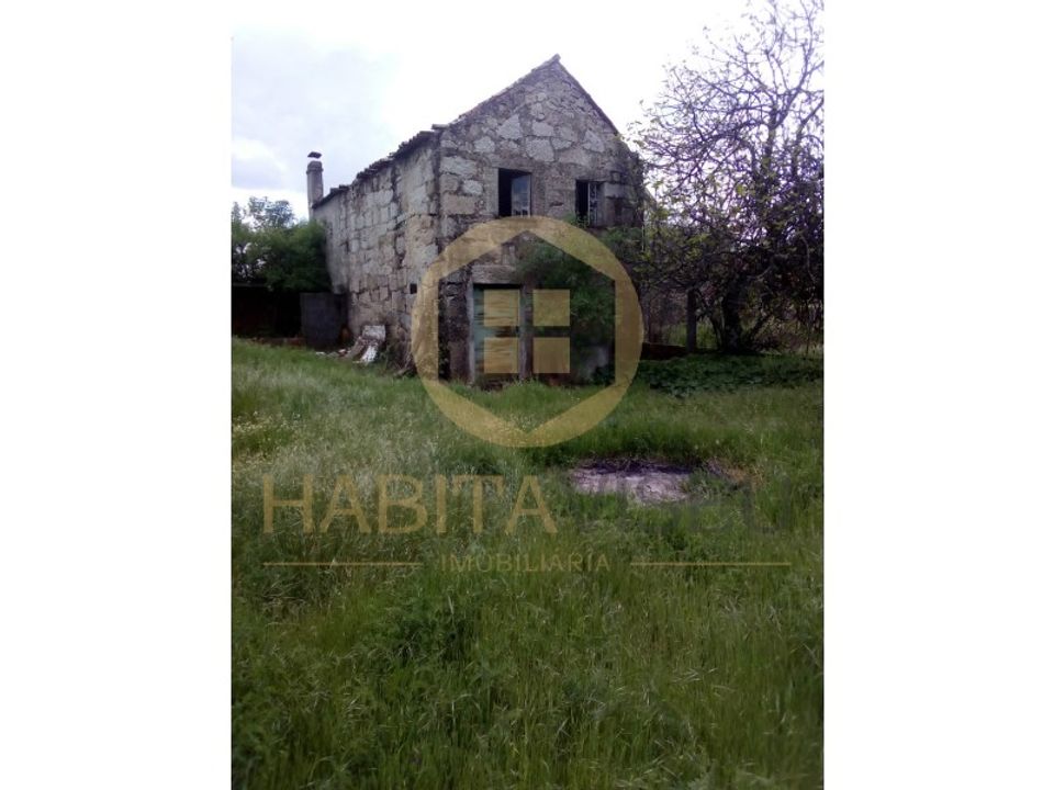 Farm i Mangualde, Viseu - foto 1