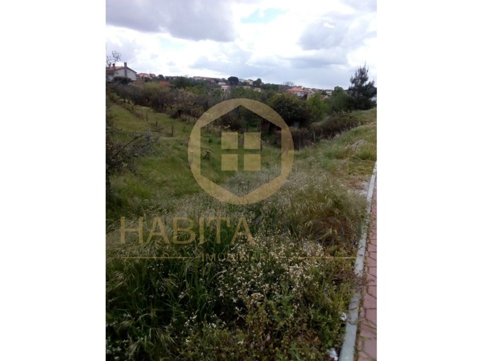Farm i Mangualde, Viseu - foto 2