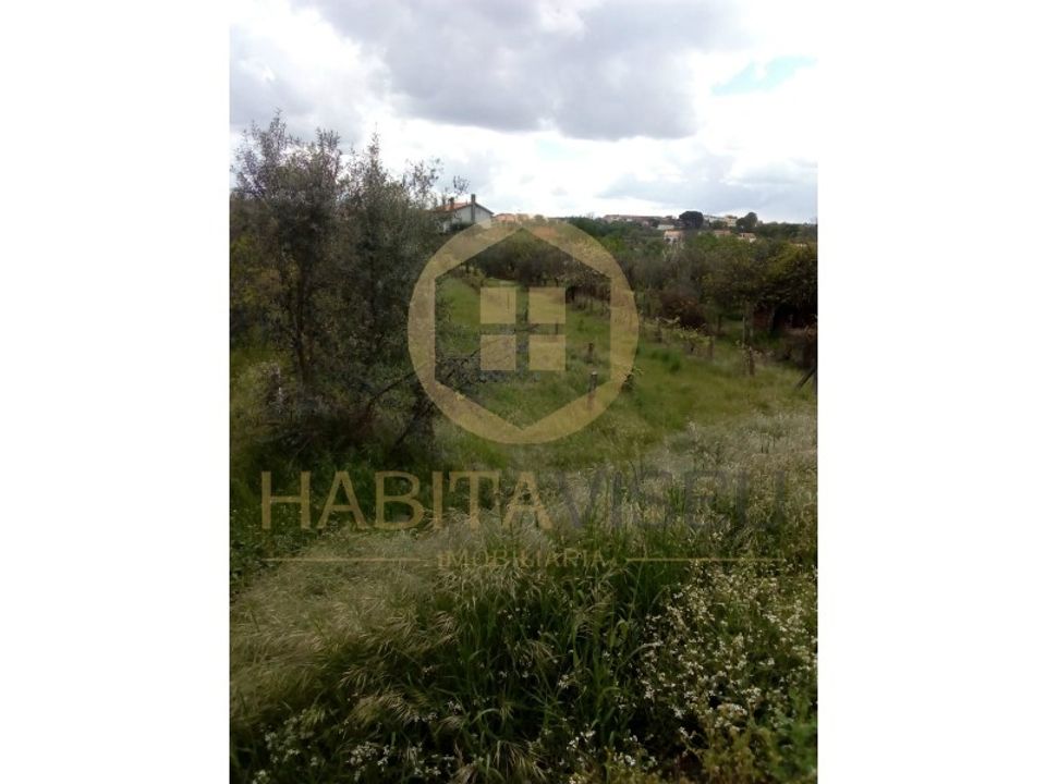 Farm i Mangualde, Viseu - foto 3