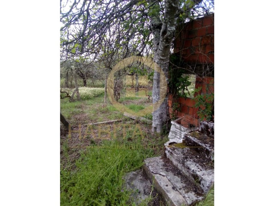 Farm i Mangualde, Viseu - foto 5