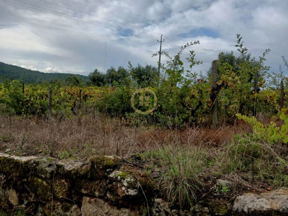 Tomt i Penalva do Castelo, Viseu - bilde 2