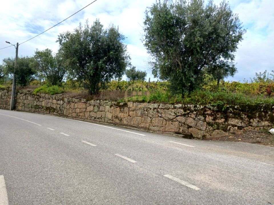 Tomt i Penalva do Castelo, Viseu - bilde 4