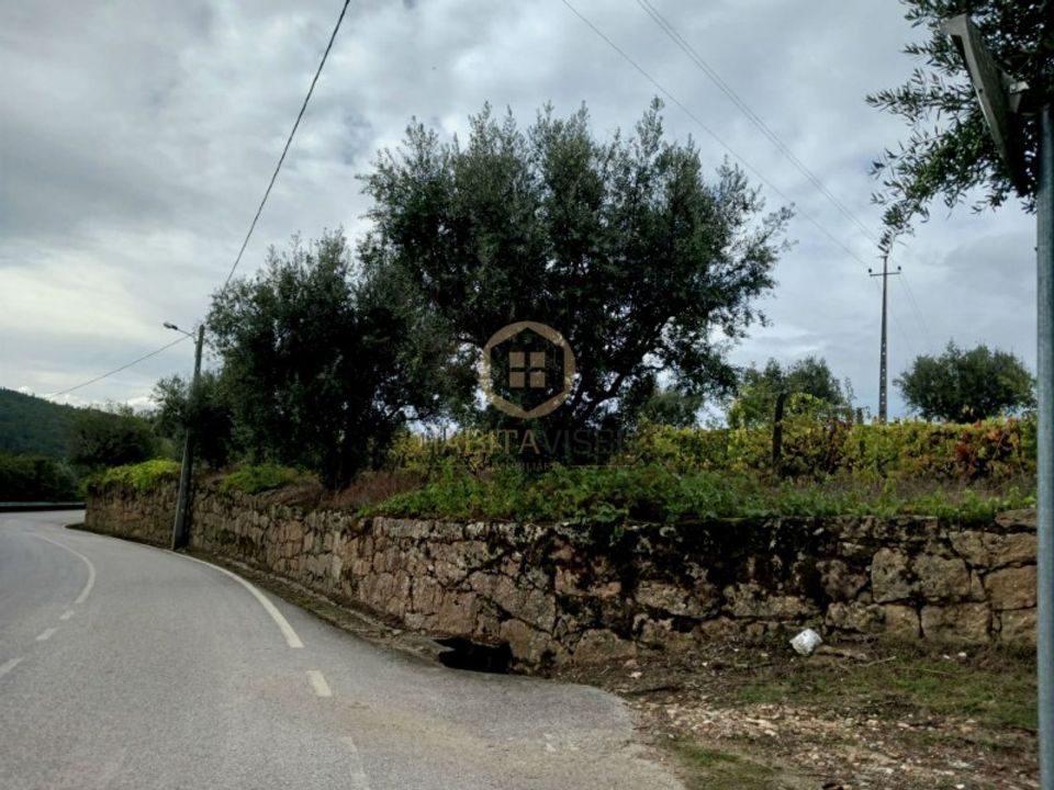 Tomt i Penalva do Castelo, Viseu - bilde 5