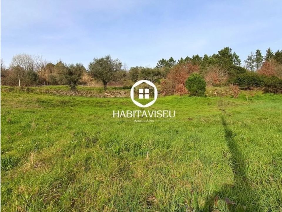 Helårsgrund i Fragosela, Viseu - foto 1