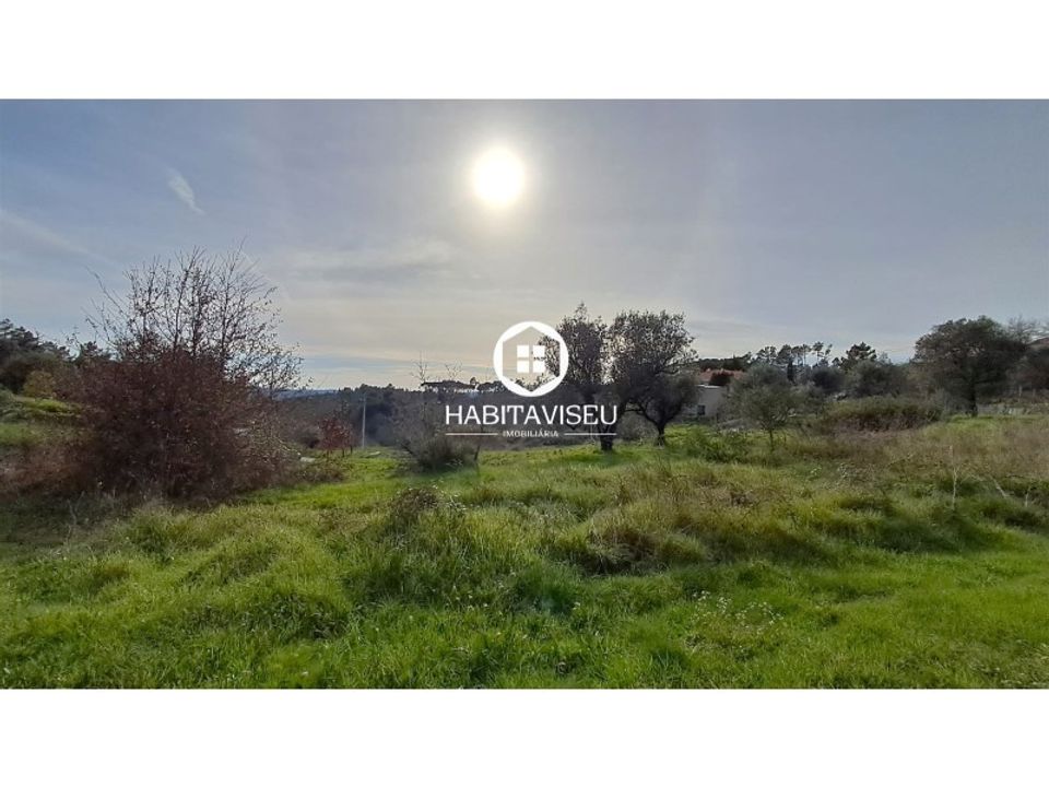 Helårsgrund i Fragosela, Viseu - foto 4