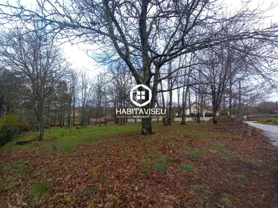 Helårsgrund i Satao, Viseu - foto 2