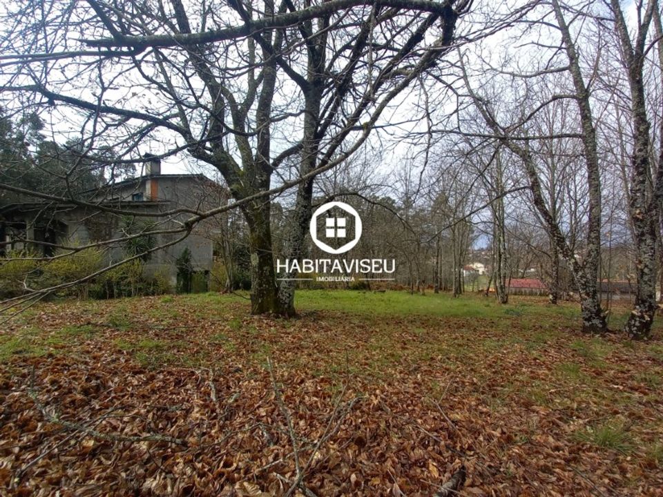 Helårsgrund i Satao, Viseu - foto 5