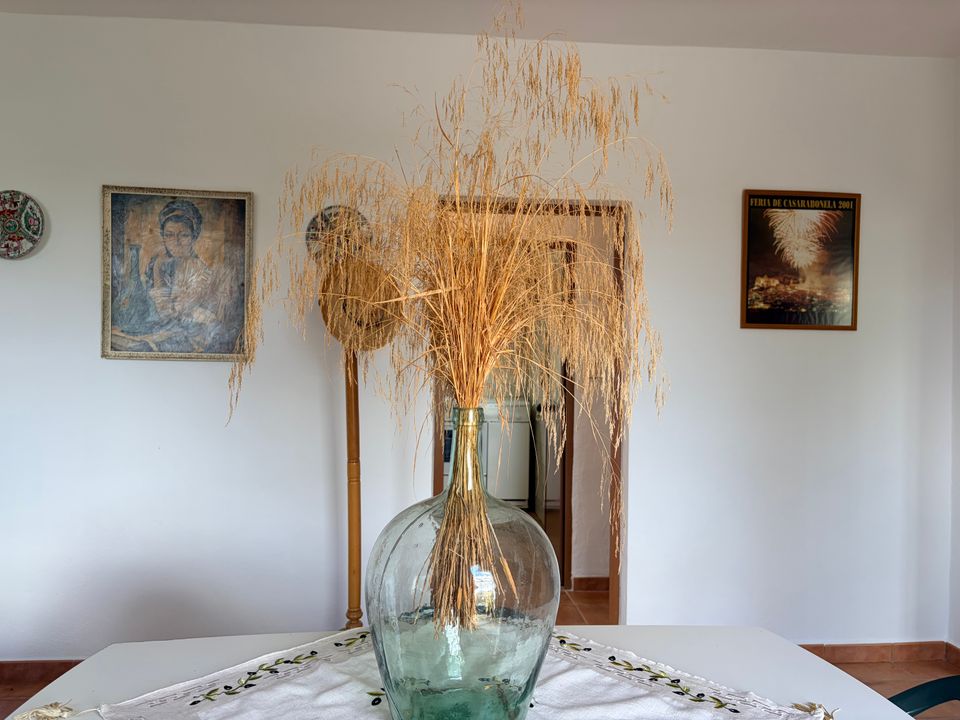 Finca i Casarabonela, Malaga - foto 5